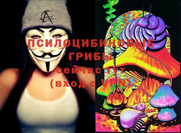 круглые Бородино