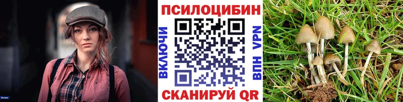 Галлюциногенные грибы GOLDEN TEACHER  Иваново 