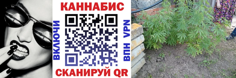 нарко площадка какой сайт  Иваново  Шишки марихуана планчик  купить закладку 